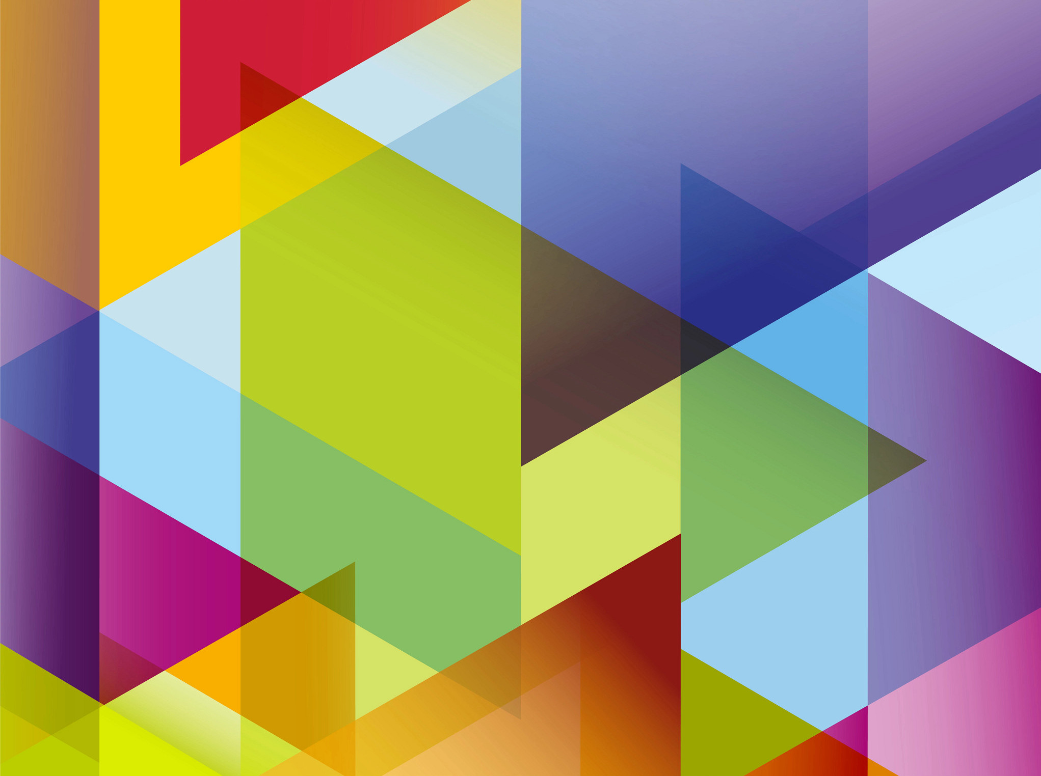 Brownie becomes YMCA Virtual Santa Run’s little helper