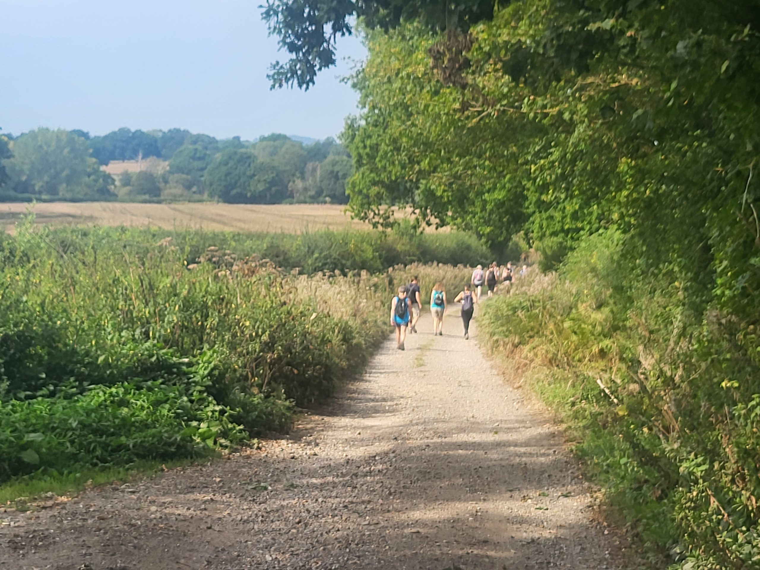 Slide Image