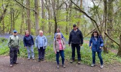 Lingfield Longer Walkers 10_05_2021