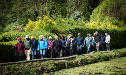 Tandridge-Line-of-walkers