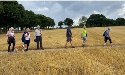 Walking for health Physical distanced walk in field
